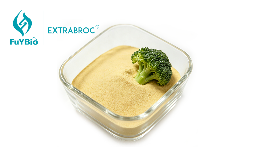 Broccoli Extract Bulk